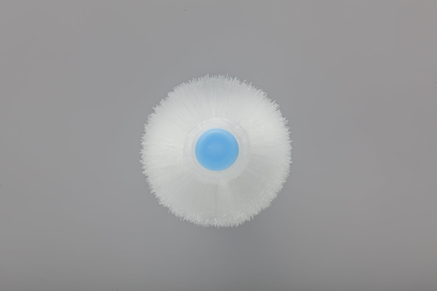 Dandelion Oral Care 360° family toothbrush set – Japanese microfiber technology