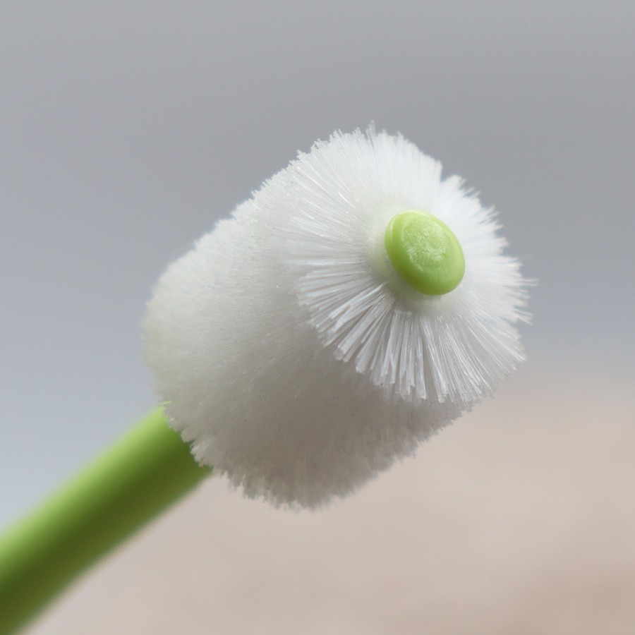 Adult Toothbrush