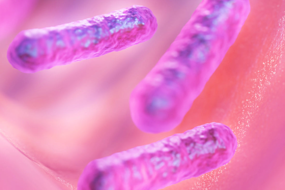 The Inflammation Connection: From Gums to Gut