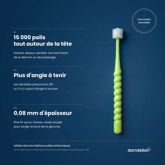 Brosse à dents adulte Dandelion verte sur fond bleu : 15 000 poils, plus d'angle à tenir, poils de 0,08 mm