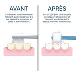 Illustration du nettoyage à 360° avec la brosse à dents Dandelion